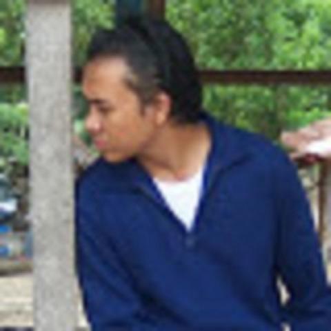 PEMF and Multi wires method