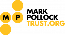 Mark Pollock Trust profile image